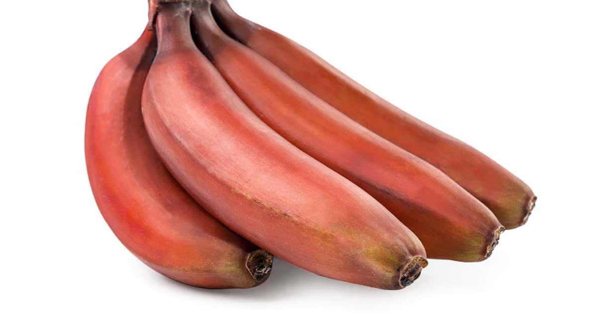 Easy Red bananas Recipes for a Nutritious Meal from Samsung Food Community