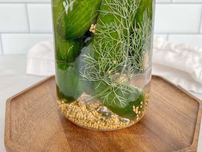 Polish Dill Pickle Recipe Whisk