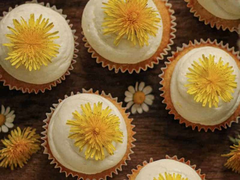 Gluten Free Dandelion Cake - From Scratch Farmstead