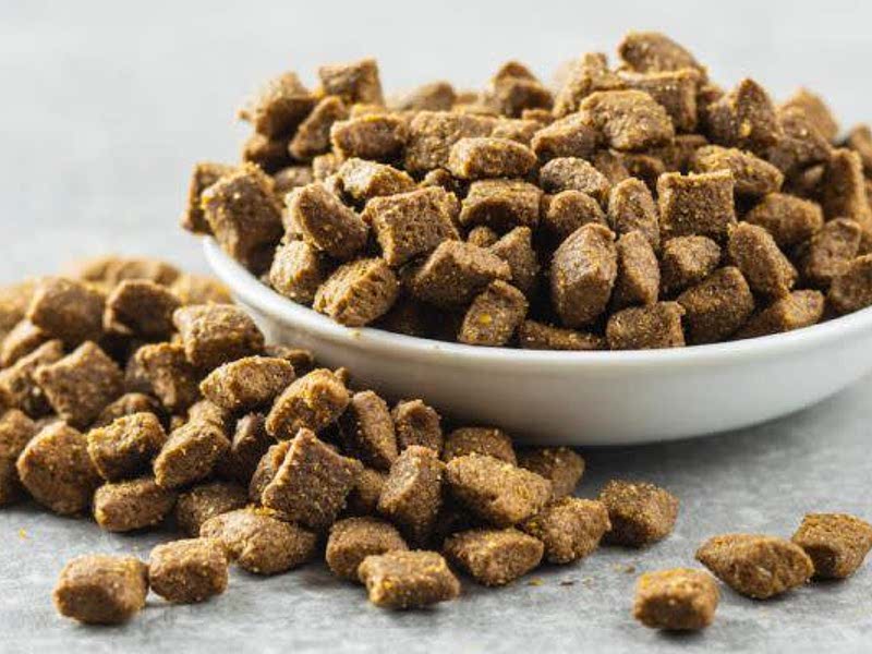 homemade-dog-kibble-recipe-samsung-food