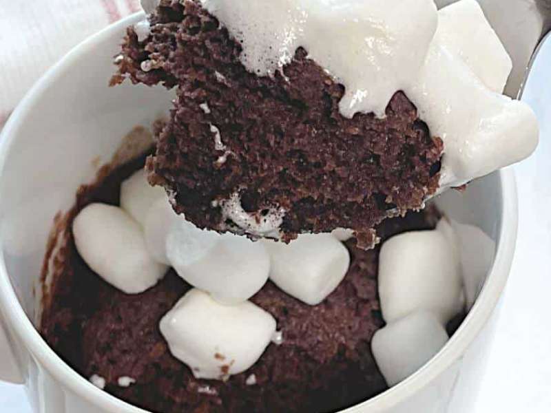 Marshmallow Chocolate Mug Cake (gluten-free)