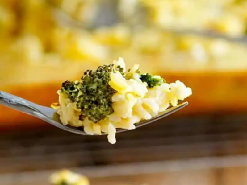 Dairy free Broccoli, Rice and Chicken casserole Recipe Whisk