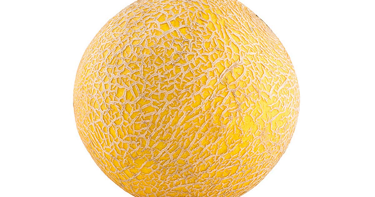 easy-galia-melon-recipes-for-a-nutritious-meal-from-samsung-food-community