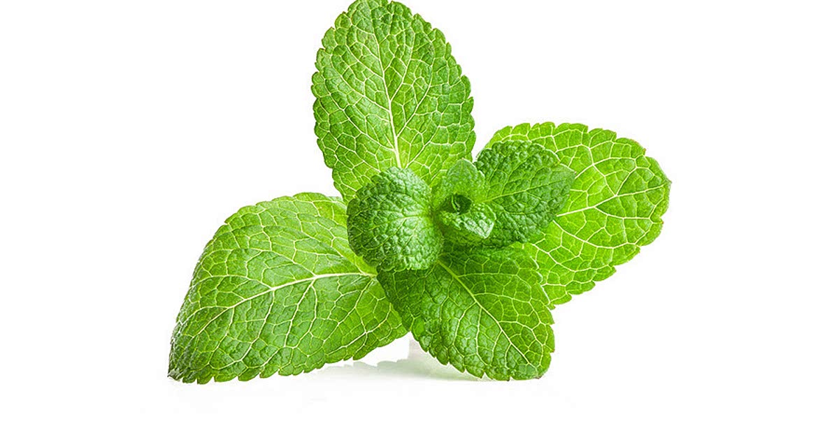 Easy Growing mint Recipes for a Nutritious Meal from Samsung Food Community