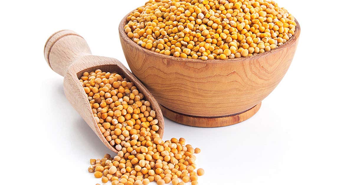 Easy Finger millet seeds Recipes for a Nutritious Meal from Samsung