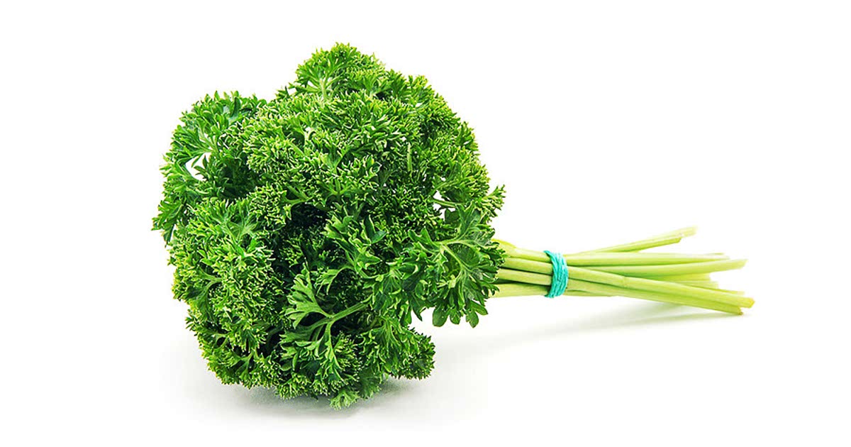 49 Easy Curly parsley Recipes for a Nutritious Meal from Samsung Food