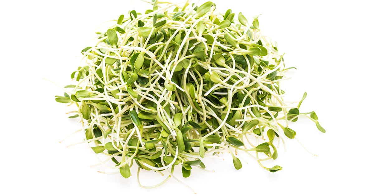 Easy Kale microgreens Recipes for a Nutritious Meal from Samsung Food