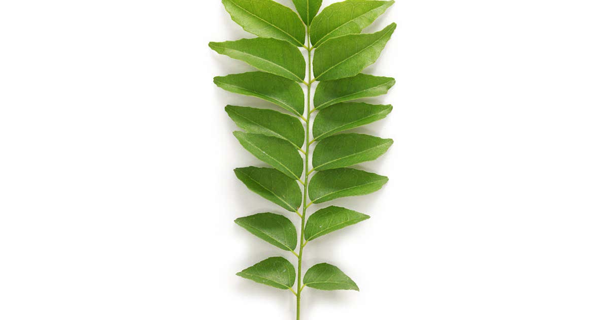 513 Easy Curry leaf Recipes for a Nutritious Meal from Samsung Food