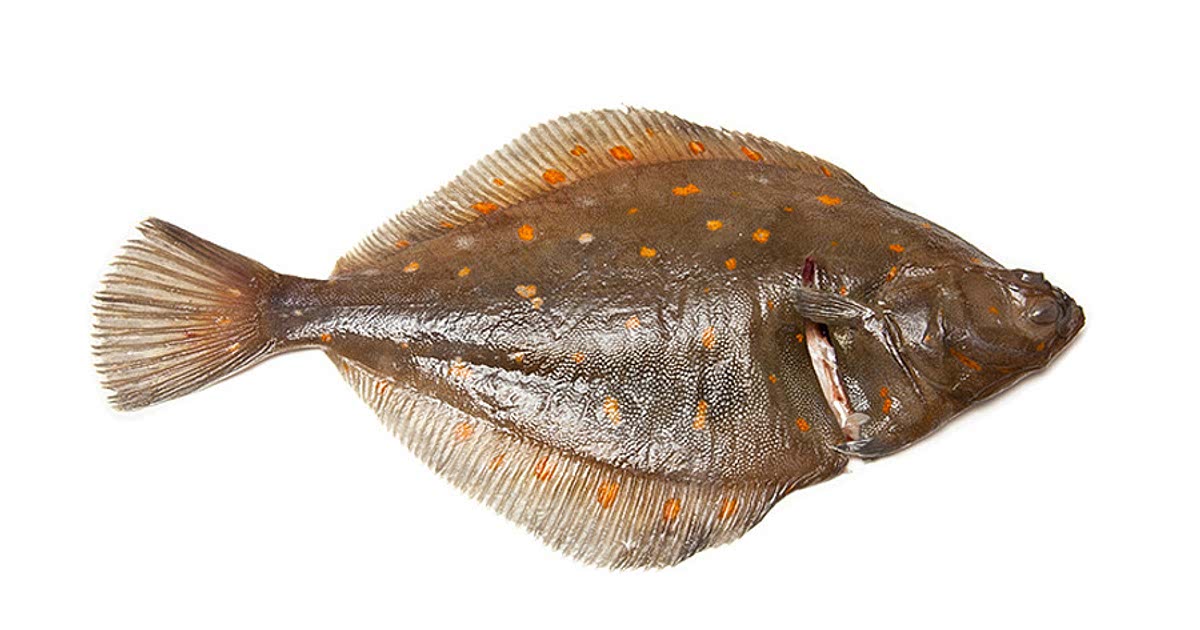 32 Easy Flounder Recipes for a Nutritious Meal from Samsung Food Community
