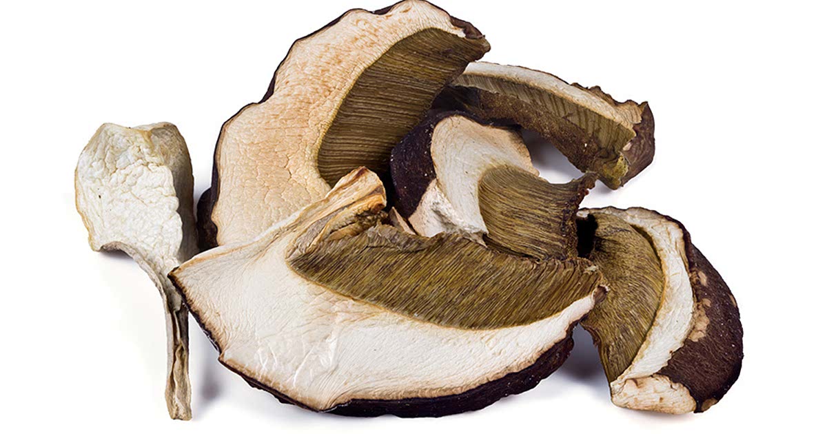 120 Easy Dried porcini mushrooms Recipes for a Nutritious Meal from