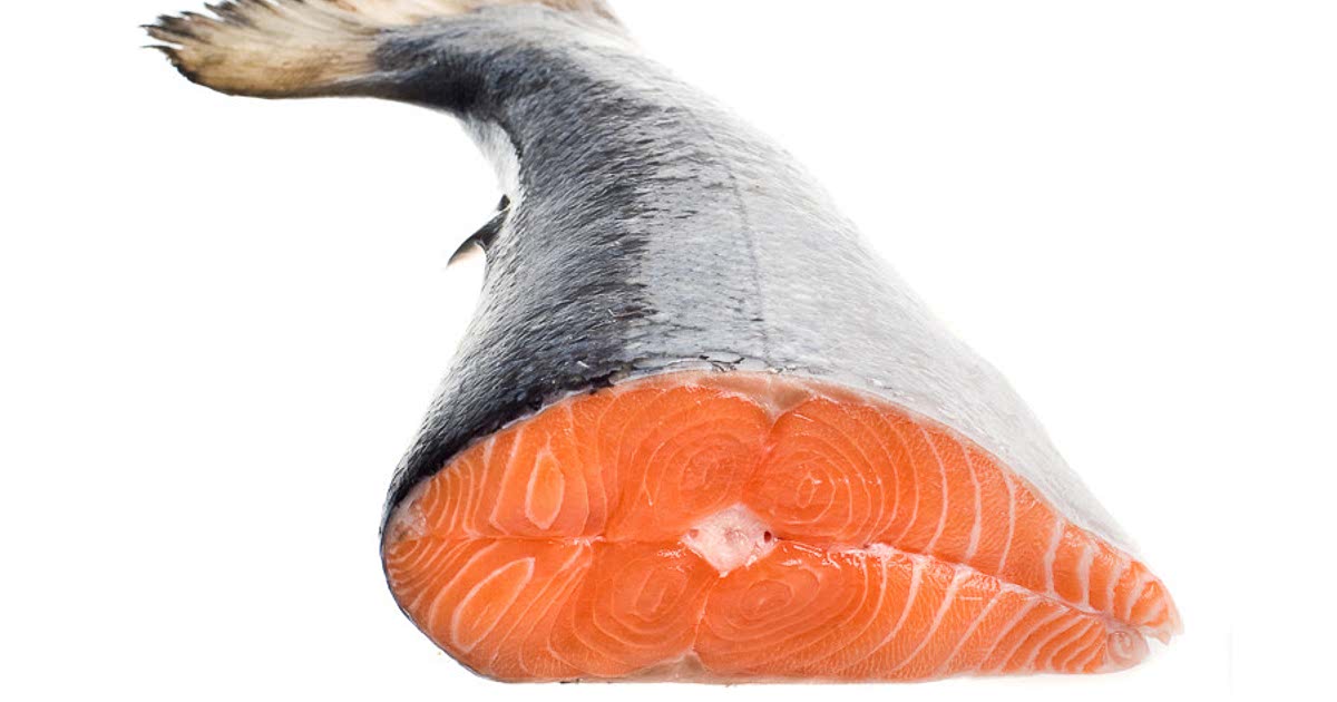 Easy Salmon tail Recipes for a Nutritious Meal from Samsung Food Community