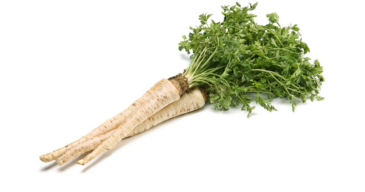 16 Easy Parsley root Recipes for a Nutritious Meal from Samsung Food