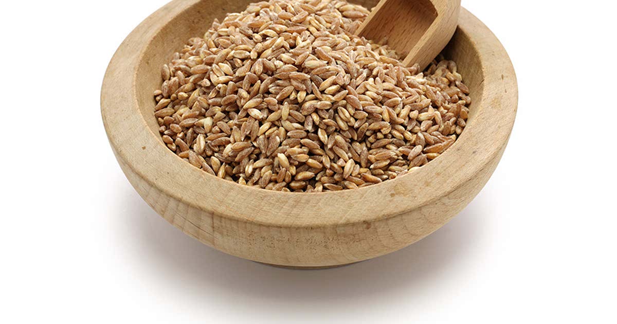 20 Easy Pearled farro Recipes for a Nutritious Meal from Samsung Food Community