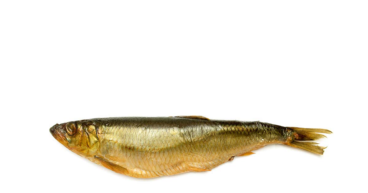 386-easy-smoked-fish-recipes-for-a-nutritious-meal-from-samsung-food
