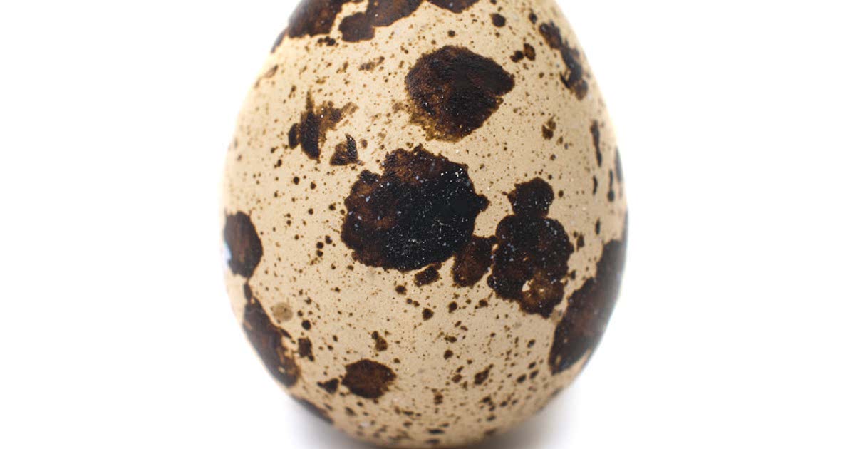 34 Easy Quail egg Recipes for a Nutritious Meal from Samsung Food Community