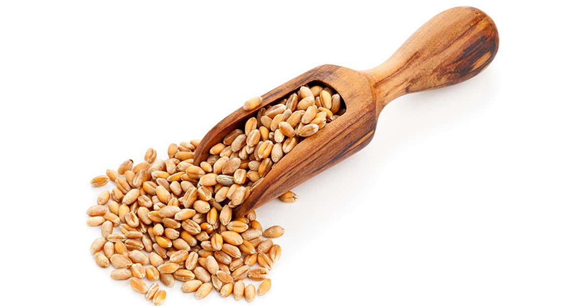 1 Easy Durum Wheat Recipes For A Nutritious Meal From Samsung Food 1-easy-durum-wheat-recipes-for-a-nutritious-meal-from-samsung-food