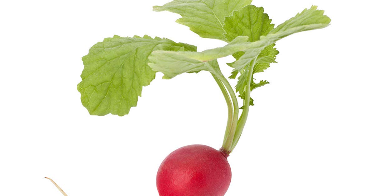 209-easy-white-radish-recipes-for-a-nutritious-meal-from-samsung-food-community