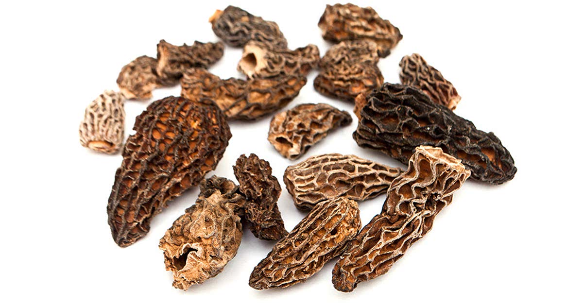 4 Easy Dried morel mushrooms Recipes for a Nutritious Meal from Samsung