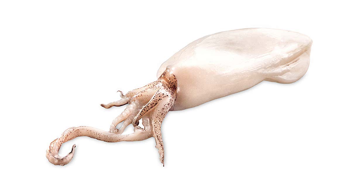 7 Easy Baby squid Recipes for a Nutritious Meal from Samsung Food Community