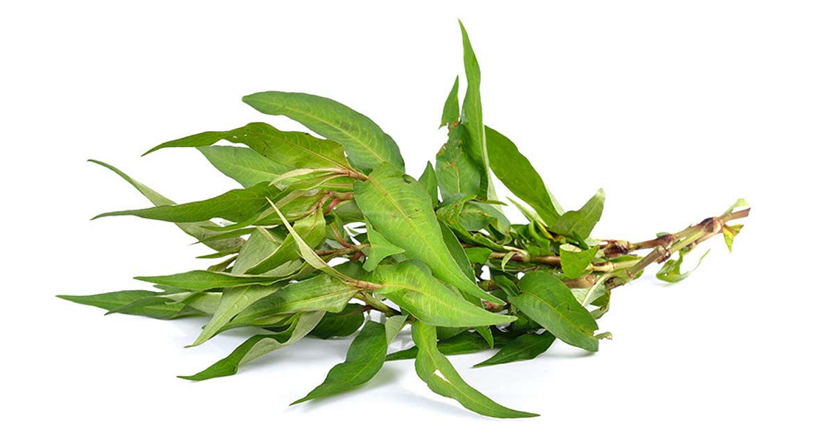 7 Easy Vietnamese coriander Recipes for a Nutritious Meal from Samsung