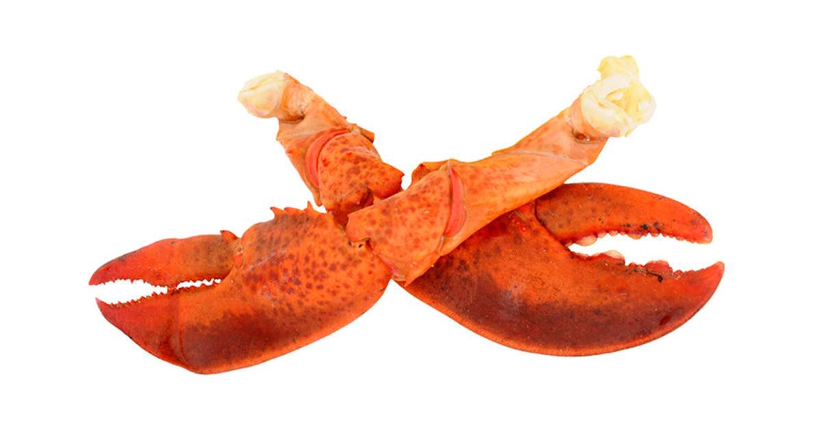 Easy Lobster claws Recipes for a Nutritious Meal from Samsung Food ...