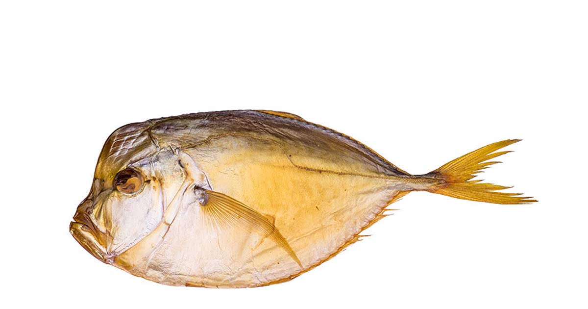 2 Easy Hawaiian opah Recipes for a Nutritious Meal from Samsung Food