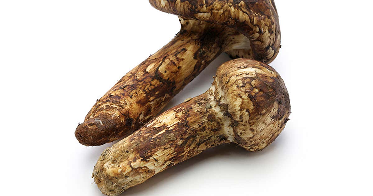 Easy Pine mushroom Recipes for a Nutritious Meal from Samsung Food