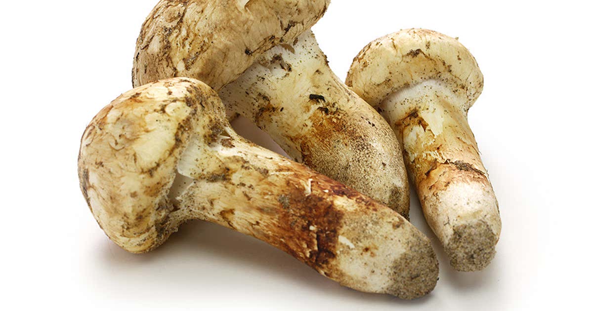 1 Easy Matsutake mushroom Recipes for a Nutritious Meal from Samsung