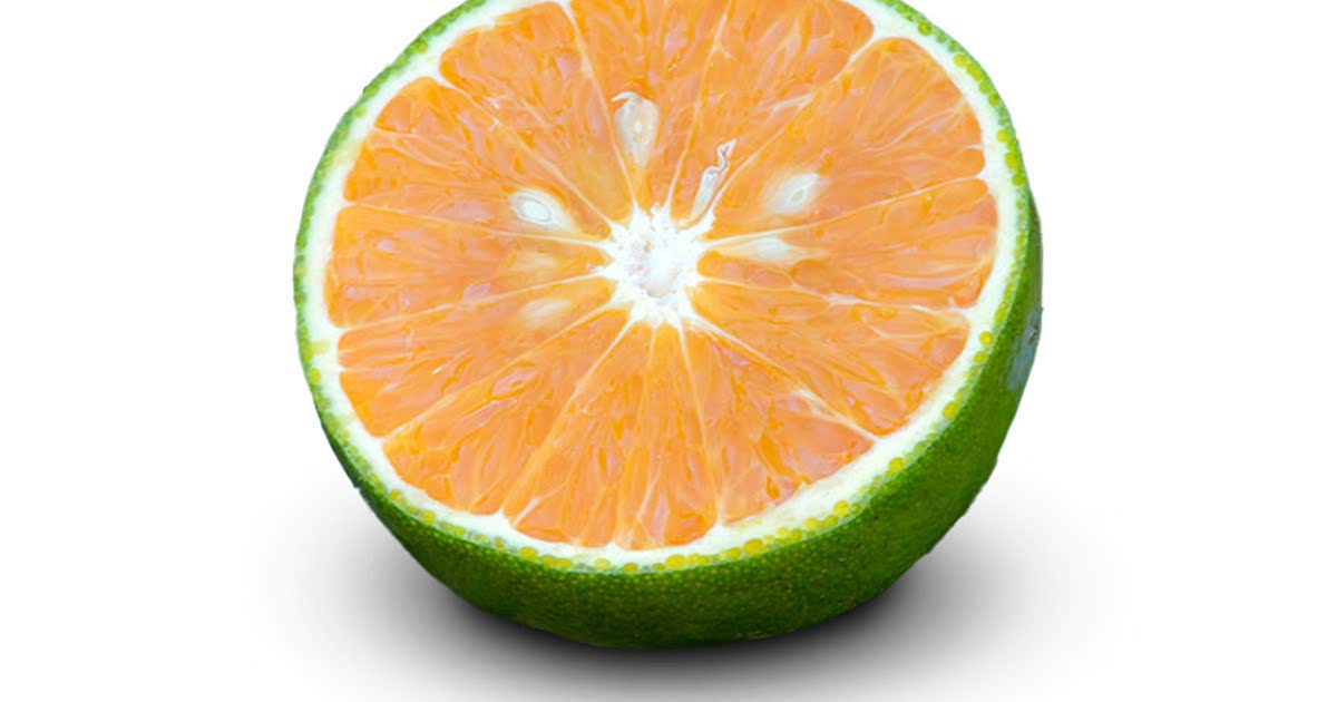 Easy Green clementine Recipes for a Nutritious Meal from Samsung Food Community