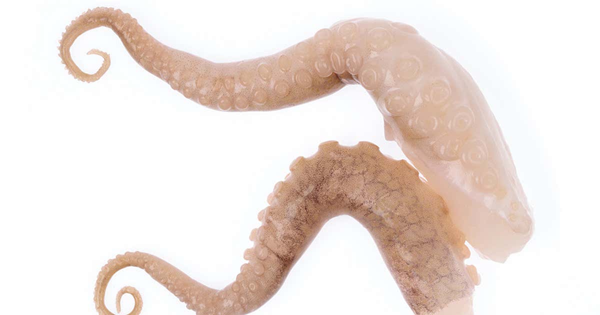 Easy Squid tentacles Recipes for a Nutritious Meal from Samsung Food