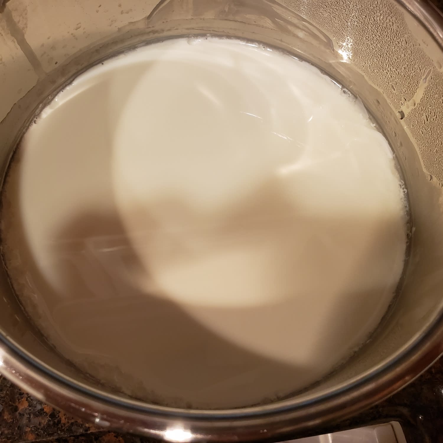 Foolproof Instant Pot Greek Yogurt #12