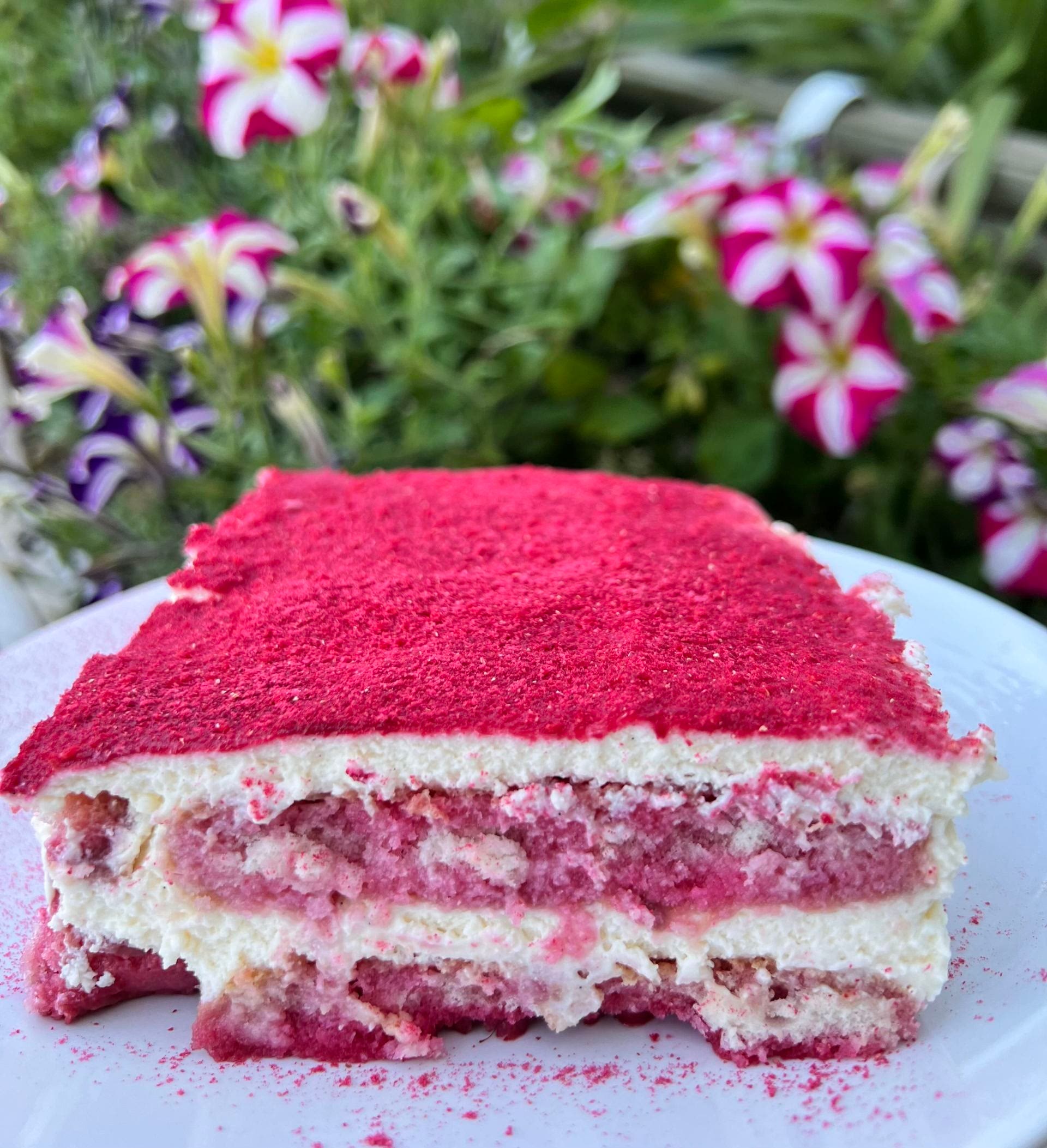 7 Easy Freeze dried raspberry powder Recipes for a Nutritious Meal from ...