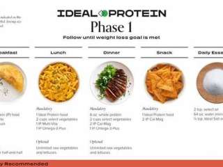 46 Holiday recipes ideas  ideal protein recipes, ideal protein